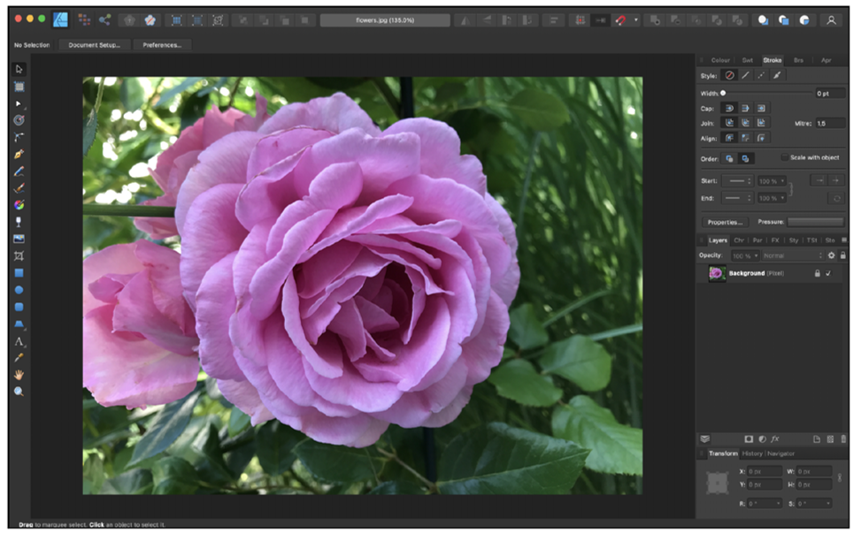 Affinity Photo for Processing Images