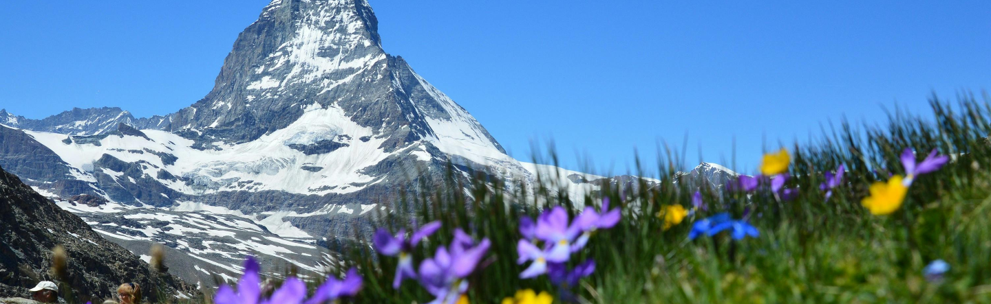Characteristics of Alpine Linux