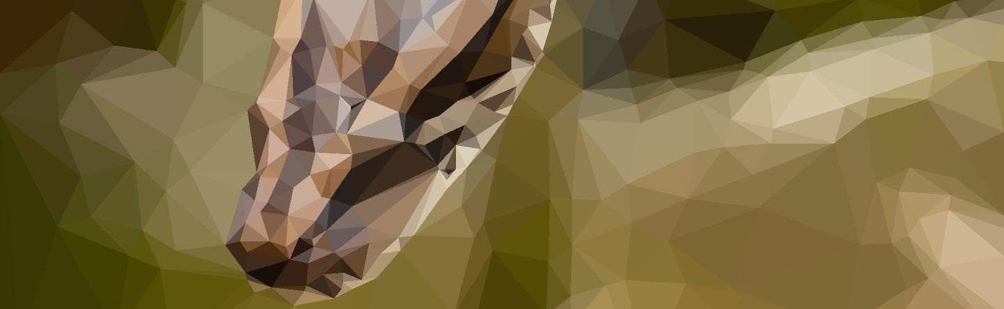 Creating an Anaconda Account and Opening Your First Notebook