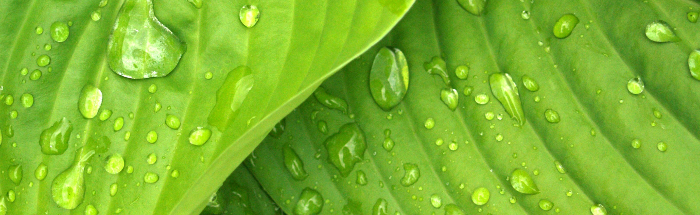 How to Set Up a Spring Boot Project