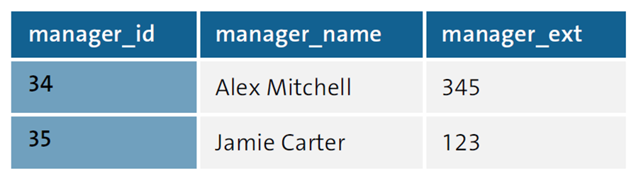 Manager Master Data after Third Normal Form