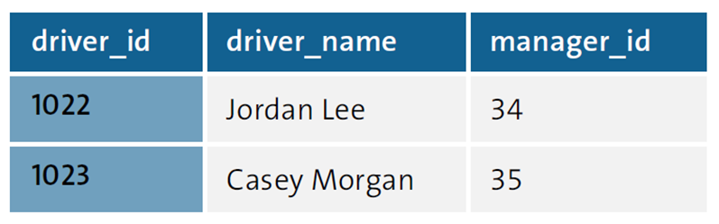 Driver Master Data after Third Normal Form