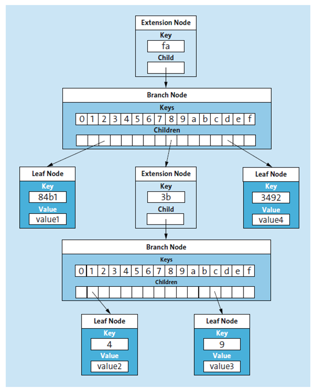Structure of an MPT with the different types of nodes (based on Thomas, 2016)
