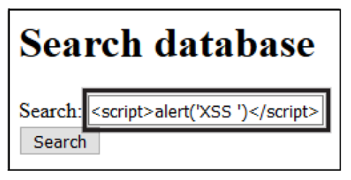 Entering JavaScript Code in the Search Form