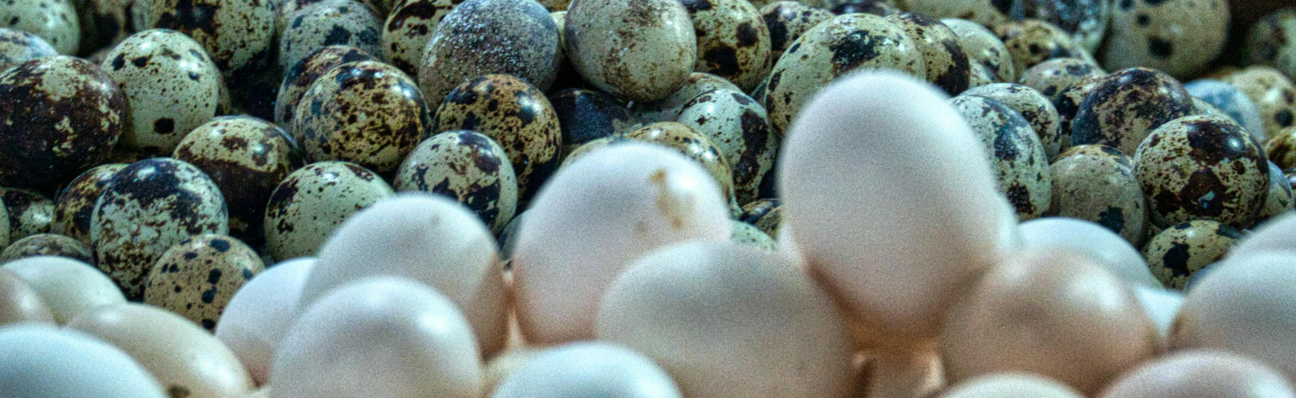 How to Create Your First Script with PowerShell